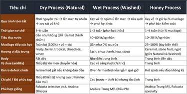 Bảng so sánh đầy đủ 3 phương pháp sơ chế và 10 tiêu chí