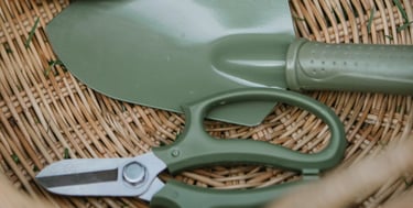 Houseplant tools