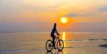 anna-maria-island-ride-on-beach