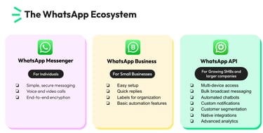 the whatsapp ecosystem