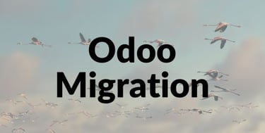 odoo erp migration in pakistan