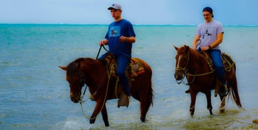 Horseback riding roatan