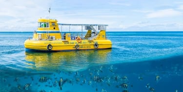 Glass Bottom Boat Roatan