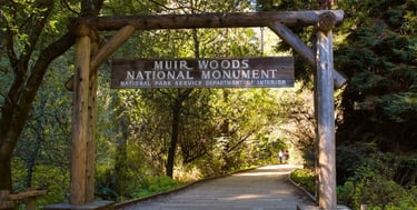 Placa de entrada do Muir Woods National Park cercada por sequoias gigantes, Califórnia.