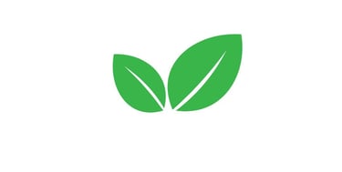 a green leafy plant with a leafy green leaves