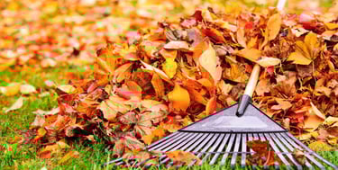 Yard clean up at Kikubari Property Maintenance