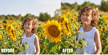 composition-and-image-cropping