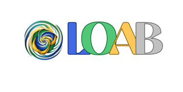 LOAB Solutions, Loab, Loab.in