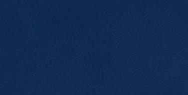 Beelden & Sculpturen veld