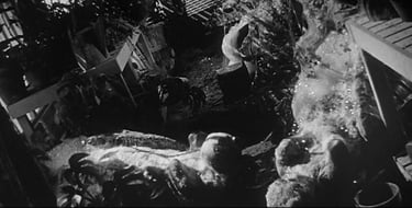 1950-1960 Invasion of the Body Snatchers