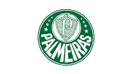 Customized team sports balls