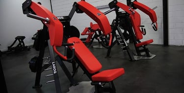 Chest press LAROQ X delavier (illustration)