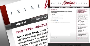 Trial Analysis Group Website