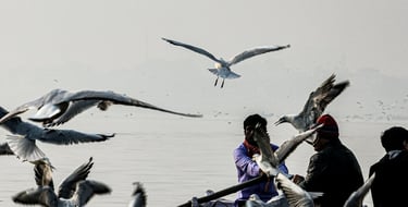 Morning Boat Ride Namo Ghat to Manikarnika Ghat