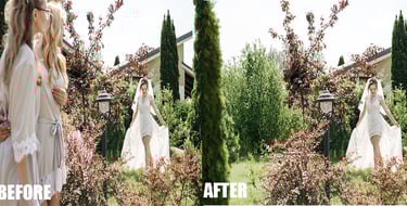 Removing Objects or People from a Background 