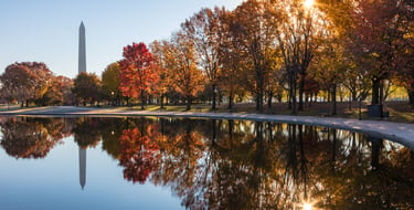 FALL REFLECTIONS