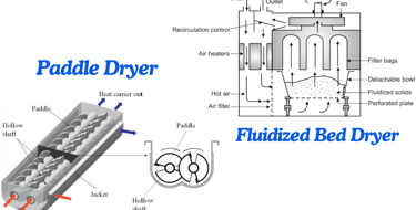 Internal diagram of paddle dryer (hollow paddles) and fluidized bed dryer(perforated plate)