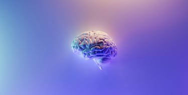 image of brain