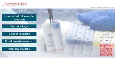 CD34 stem cells CD133 humanized models immunology