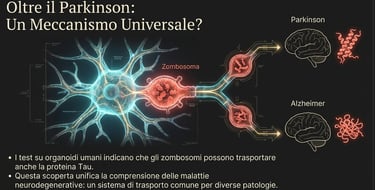 meccanismo comune ad altre patologie