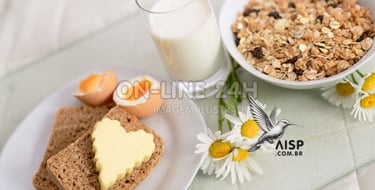 Alimentação