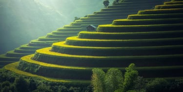 Propósito | Propuse KATHCHEMICALS