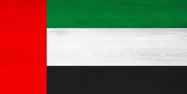 Flag of united arab emirates