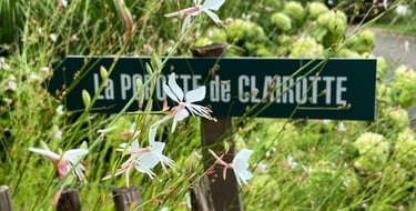Popotte de clairotte et dans ma bulle à bordeaux