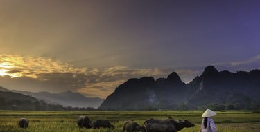 Paisagem rural da Ásia com vilarejos tradicionais, arrozais e montanhas ao fundo