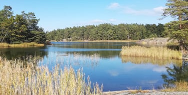 vackert landskap och en sjö i Sverige, det finns öar och granar.