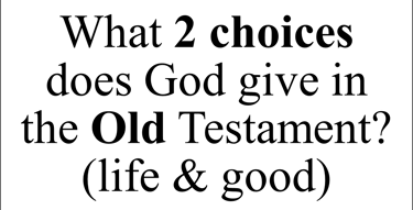 What 2 choices does God give in the Old Testament? (life & good)