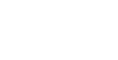 The type1wild.com logo - David Kindness's photography website