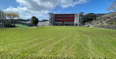 Field Decompaction