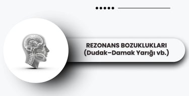 Rezonans ve ses üretimini temsil eden baş profili modeli.