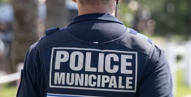 élections municipales fleurieux