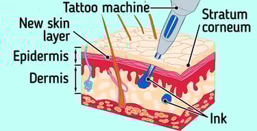 Anatomy of layers of skin, tattoo needle depth