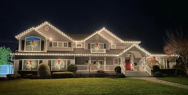 Professional Holiday Lighting