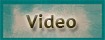 Video Link