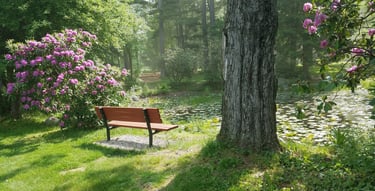 L’agence SOPPRANO vous accompagne dans vos projets de création ou d’embellissement d’espaces verts