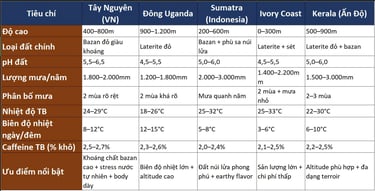 Bảng so sánh terroir Tây Nguyên vs 4 vùng Robusta lớn trên thế giới
