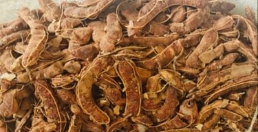 Naturally Sun-Dried Tamarind with Seed from Forest and Rural Areas of India