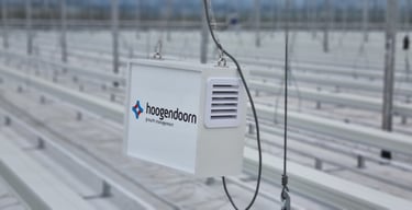 hoogendoorn