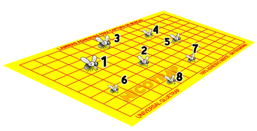 conteo de moscas en placas adhesivas de captura de moscas