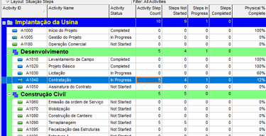 Acompanhamento da situação de Steps no P6