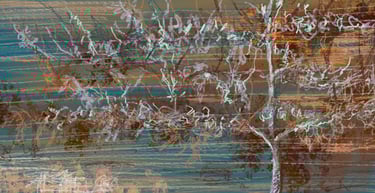 Scotney Castle espaliered trees - digital drawing