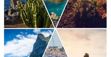 Guia de Portos Ilhas Canárias e Madeira.