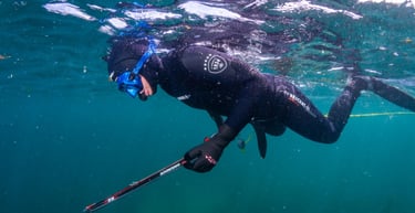 un hombre haciendo pesca submarina en Galicia, foto de agpesur pesca submarina