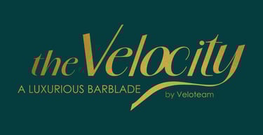 Logo the Velocity