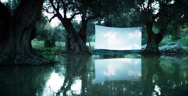 semina il vento Federica Bologna