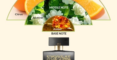 Little Black Dress Lace perfume notes showing citrus top notes, jasmine middle notes, and amber base notes.